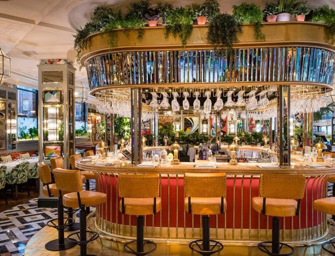 The Ivy